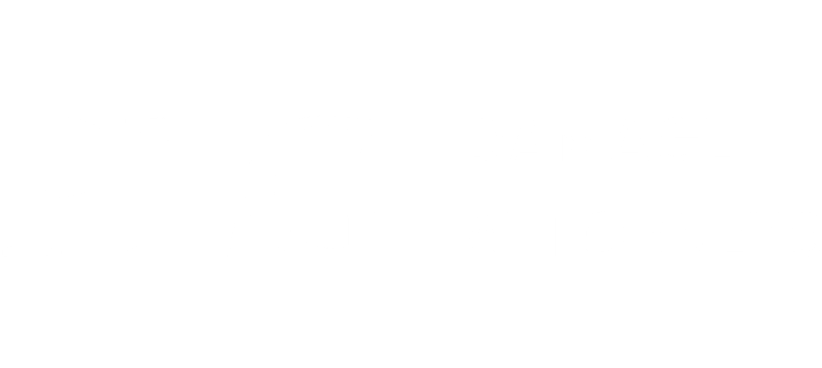 PLG Damage Logo