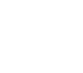 VY Logo